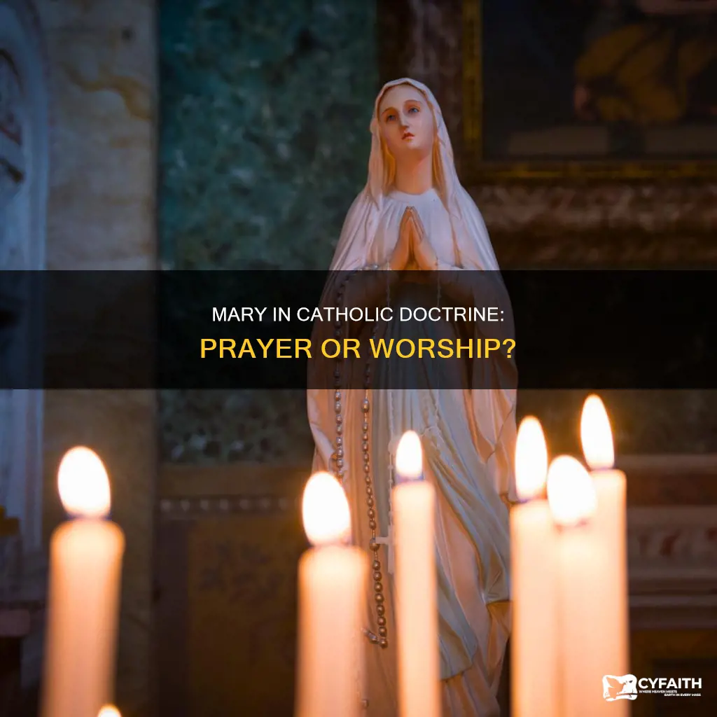 does catholic docttrine teach to pary to mary