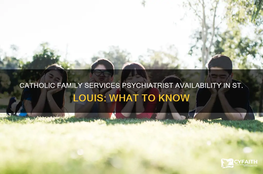 does catholic familiy services have psychiatrist st louis area