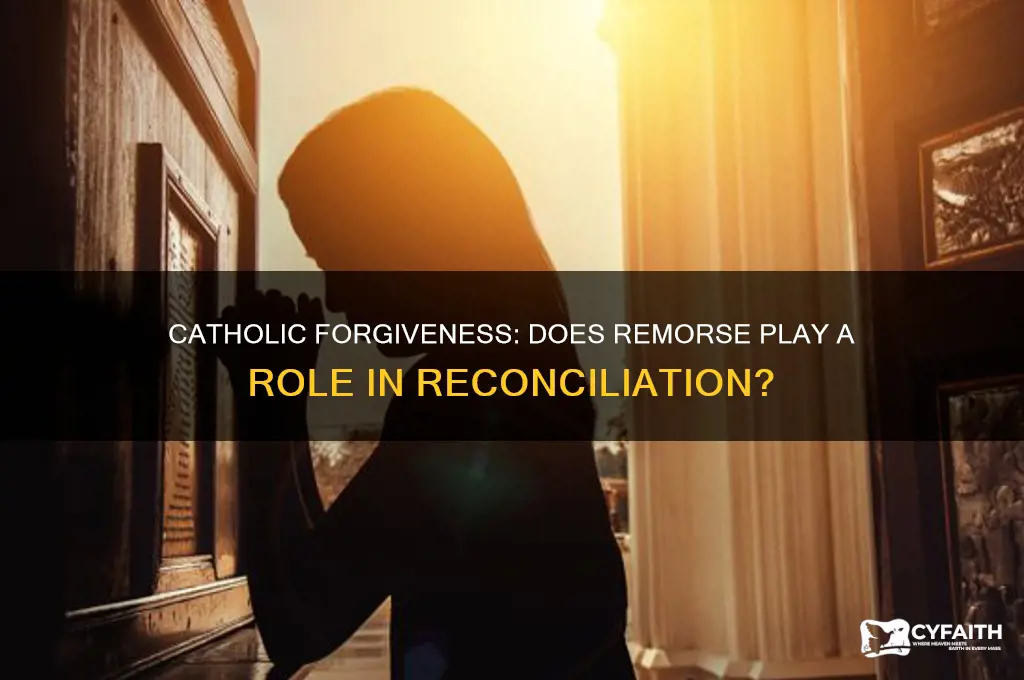does catholic forgiveness require remorse