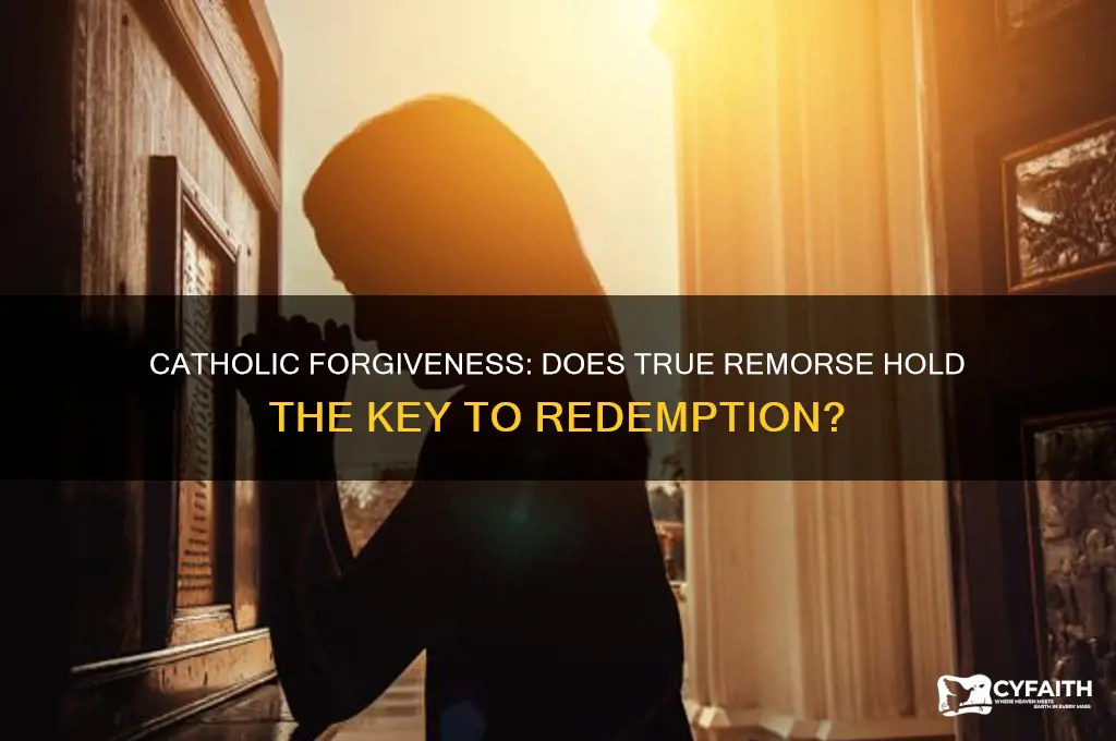 does catholic forgiveness require remose