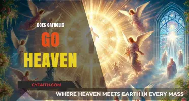 Does Being Catholic Guarantee Heaven? Exploring Faith and Salvation