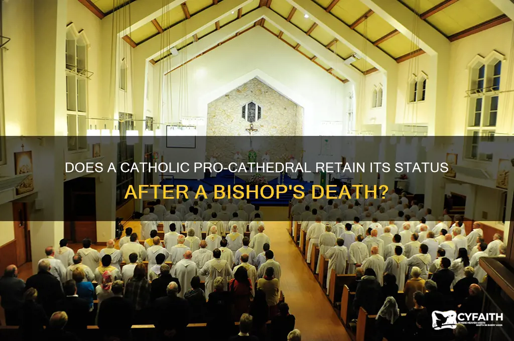 does catholic pro-cathedral remain a pro-cathedral when bishop dies