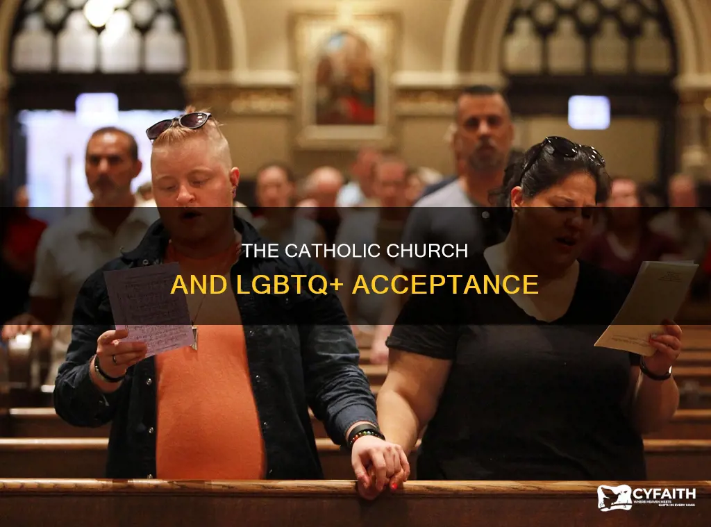 does catholic religio accept gays lesbians etc