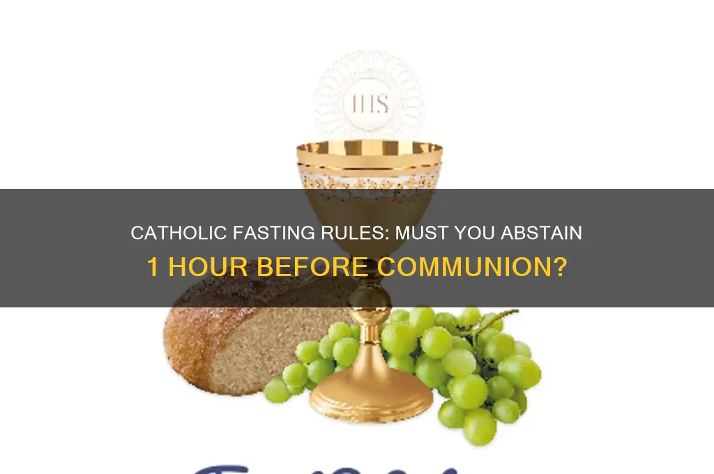 does catholic required to fast 1 hour before receiving communion