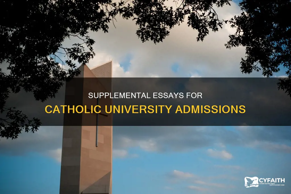 does catholic university have a supplemental essay