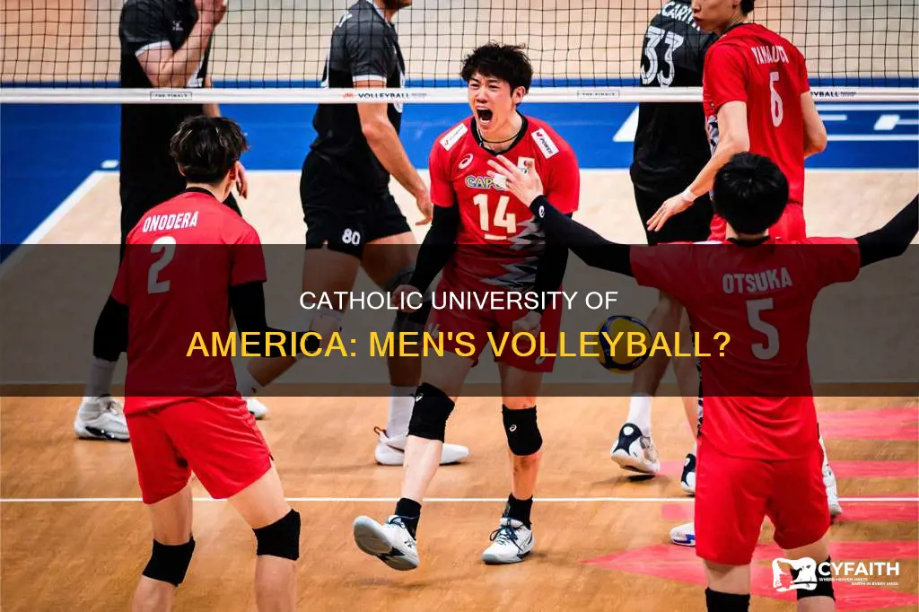 does catholic university of america have mens volleyball