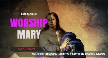 Does Catholic Worship Mary? Exploring Devotion and Misconceptions
