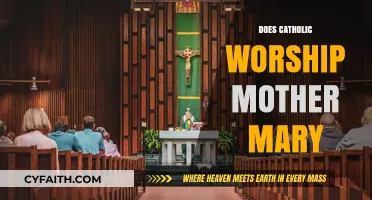Does Catholic Worship of Mother Mary Cross the Line?