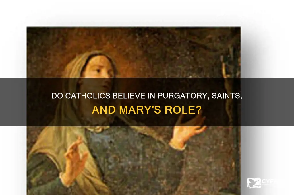 does catholics belie