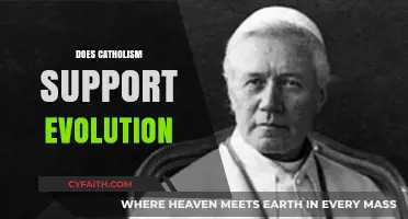 Catholicism and Evolution: Reconciling Faith with Scientific Theory