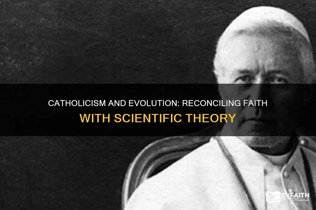 does catholism support evolution