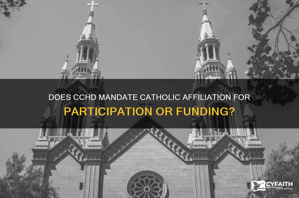 does cchd require catholic affiliation