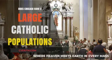 Chicago's Catholic Population: A Religious Snapshot