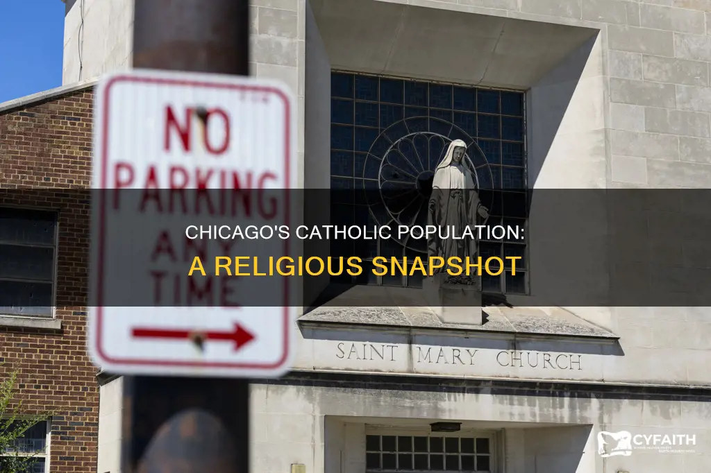 does chicago have a large catholic populations