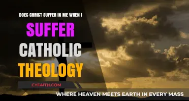 Christ's Suffering in My Pain: Catholic Theology Explained