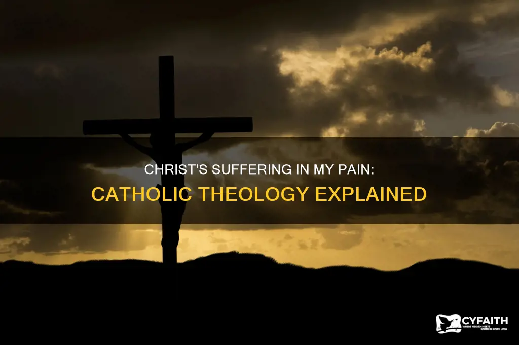 does christ suffer in me when i suffer catholic theology
