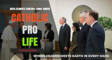 Climate Control: Catholic Pro-Life's Next Challenge