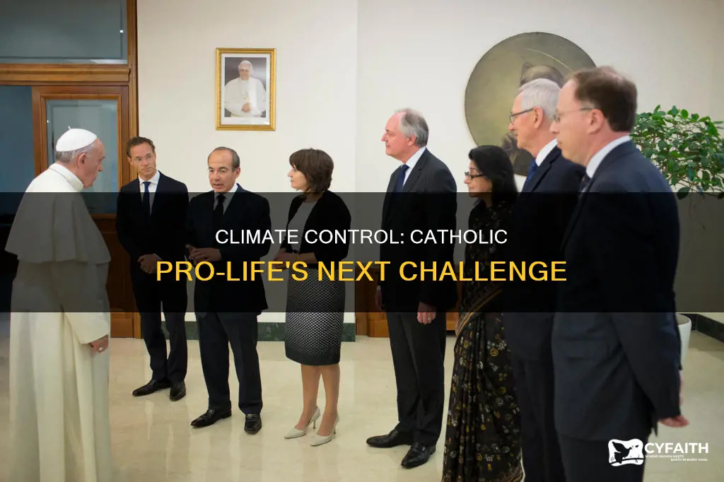 does climate control come under catholic pro life