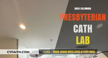 Columbia Presbyterian Cath Lab: Services, Innovations, and Patient Care Insights
