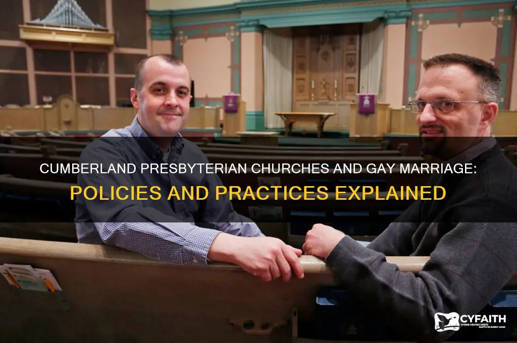 does cumberland presbyterian churches allow gay marriage