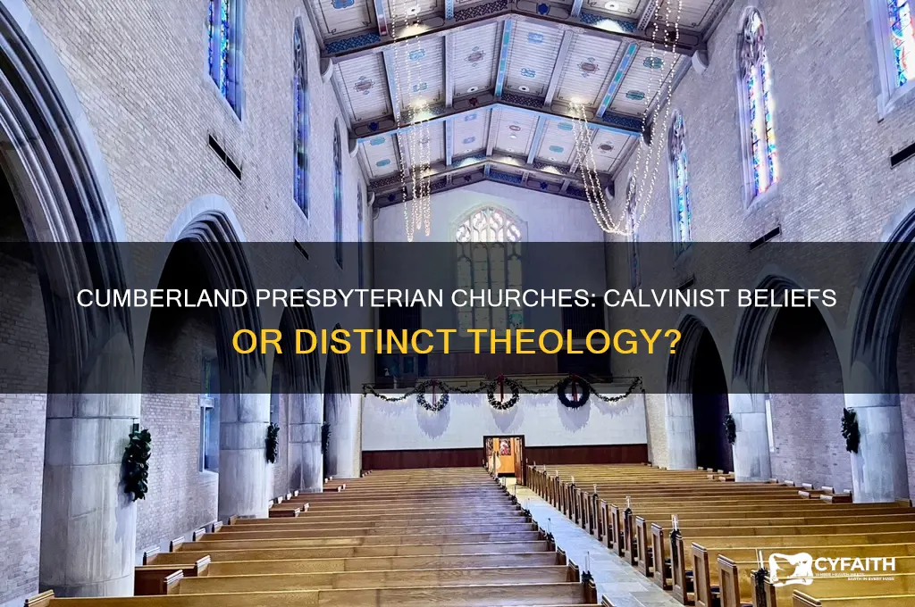 does cumberland presbyterian churches believe in calvinism