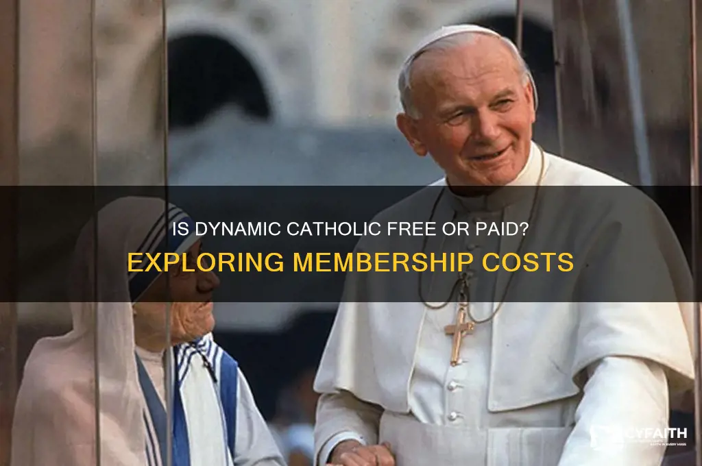 does dynamic catholic cost money