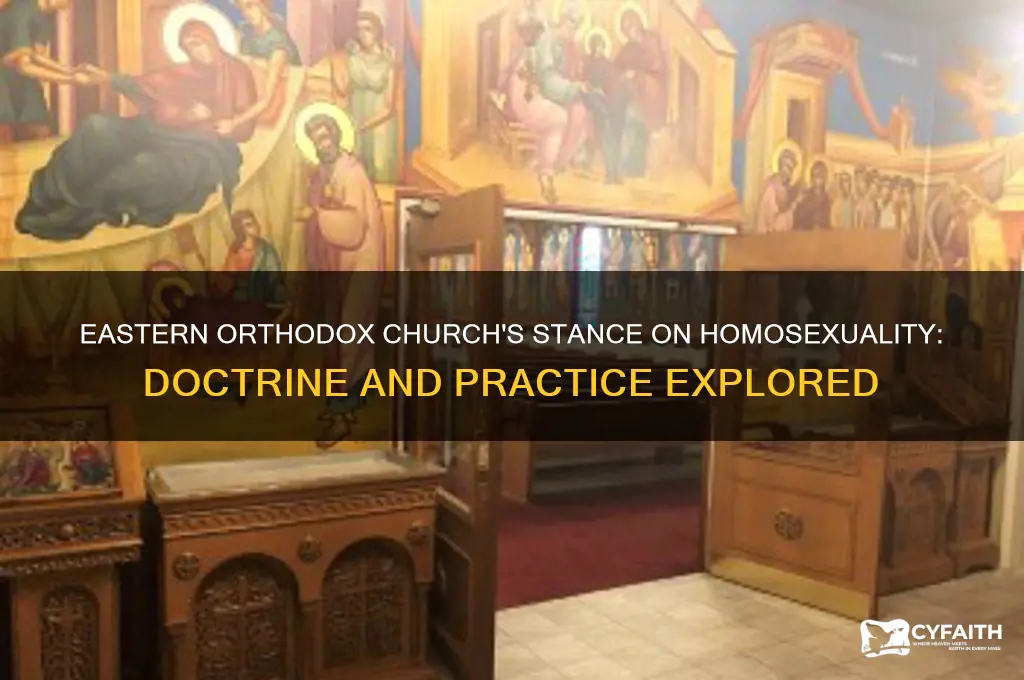 does eastern orthodox allow homosexuality
