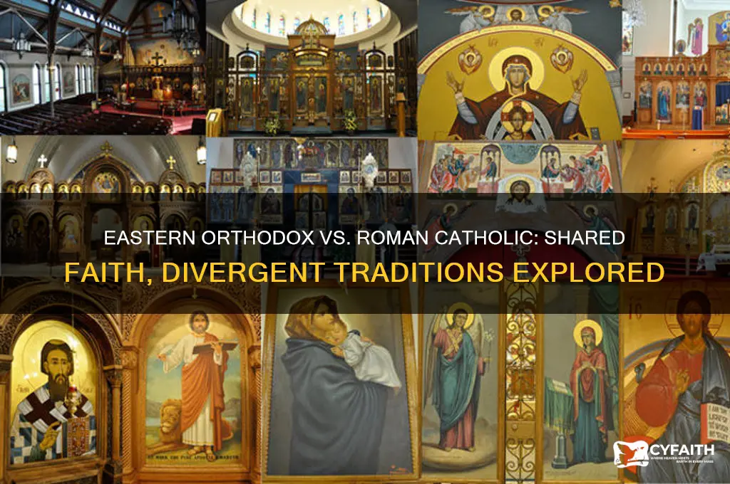 does eastern orthodox believe roman catholic
