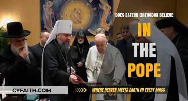 Eastern Orthodox and the Pope: A Theological Perspective on Authority