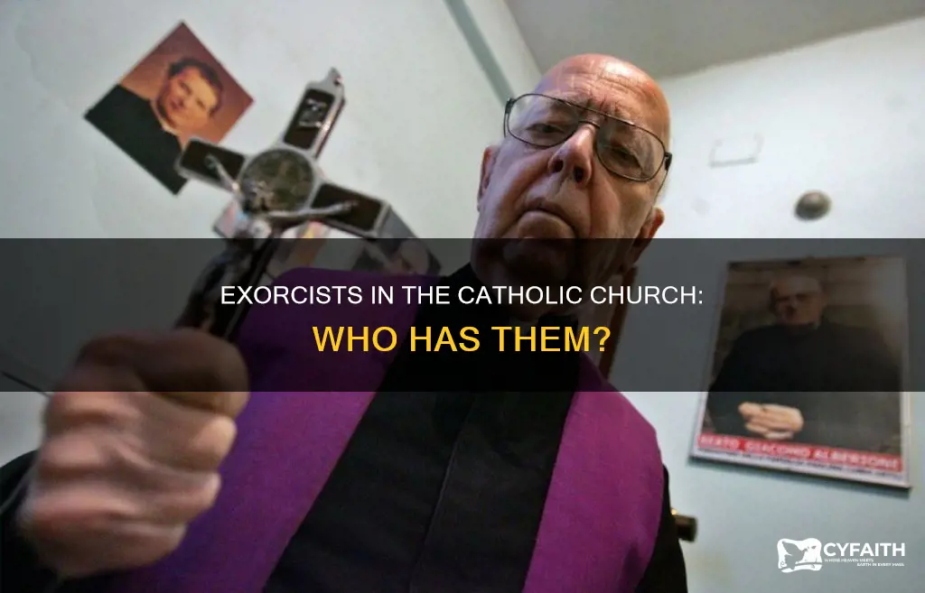 does every catholic diocese have an exorcist