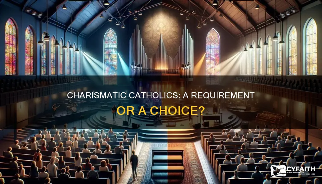 does every catholic evangelist have to be charistmatic