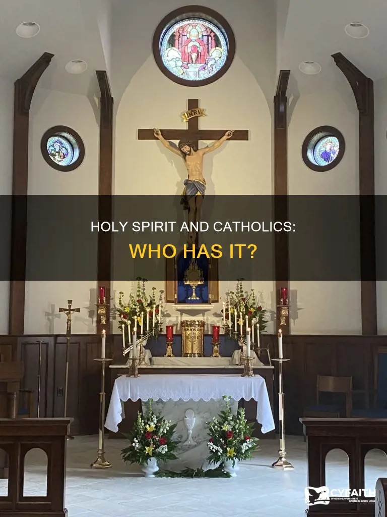 does everyone have the holy spirit catholic