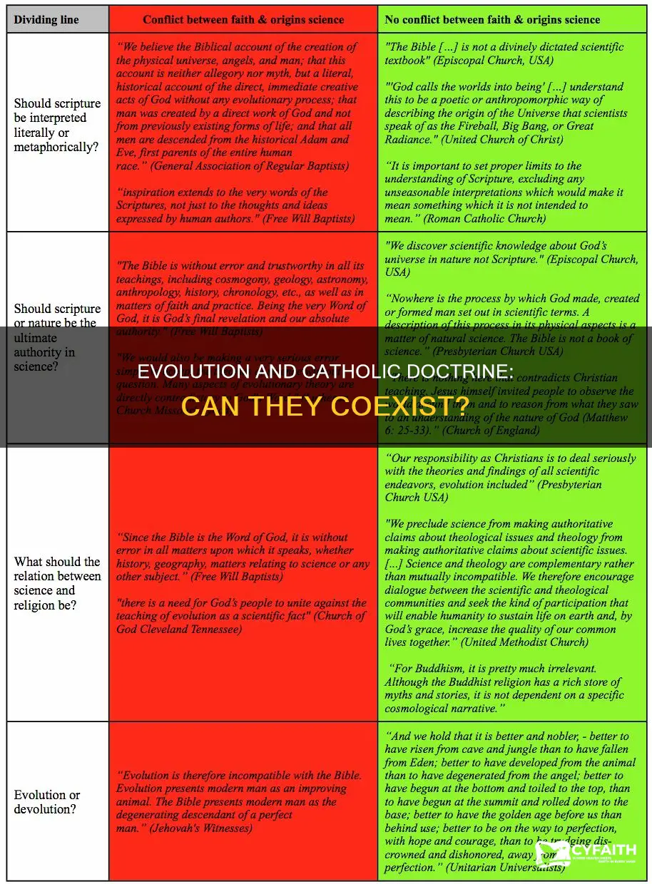 does evolution fit into the catholic doctrnie