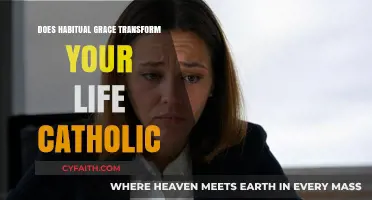 Habitual Grace: Transforming Catholic Life