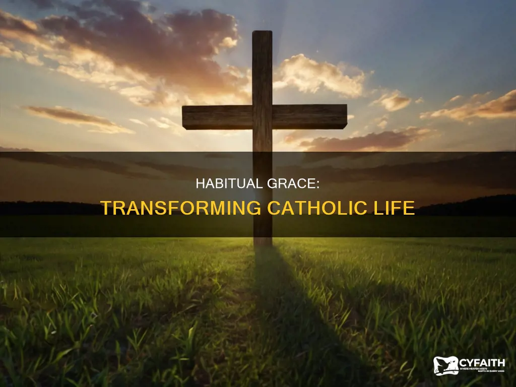 does habitual grace transform your life catholic