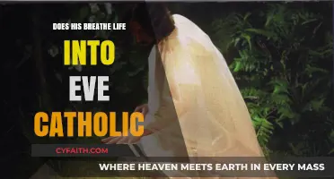 The Catholic Church's Take on the Genesis Story