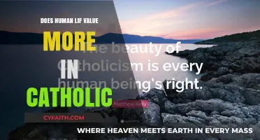 The Value of Human Life in Catholicism