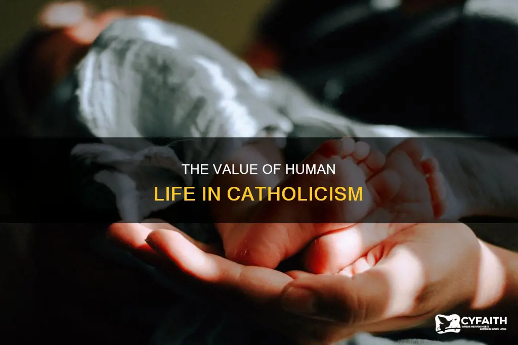 does human lif value more in catholic