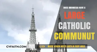 Indonesia's Catholic Community: A Large Presence?