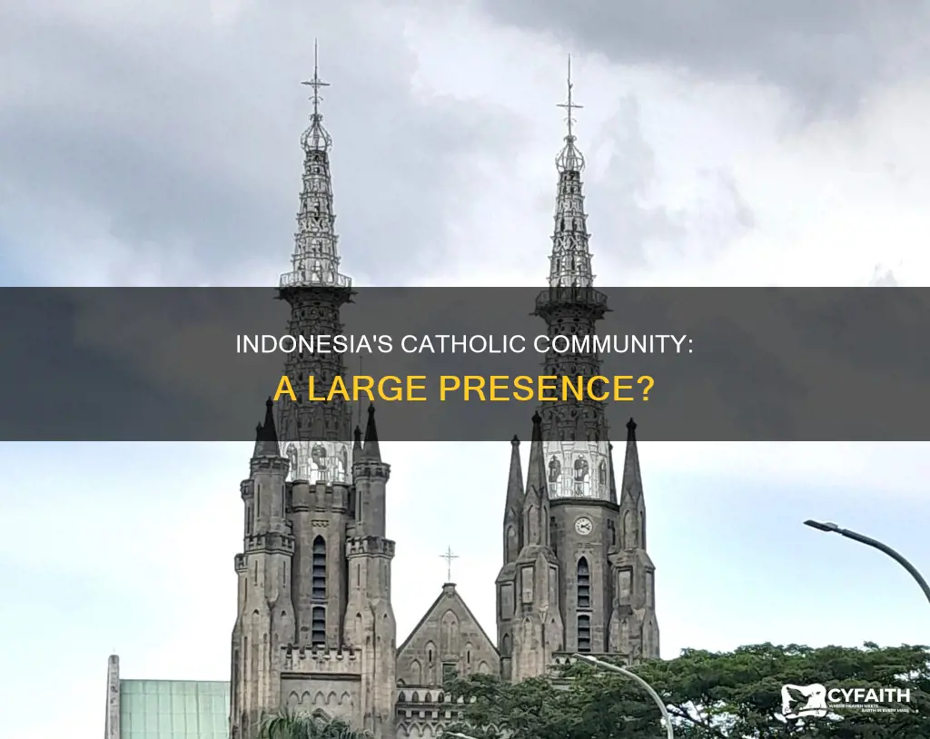 does indonesia have a large catholic communuty