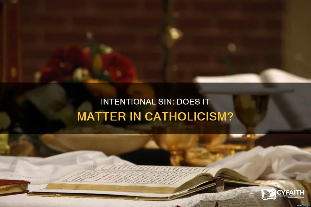 does intention matter when sinning catholic
