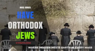 Exploring Israel's Orthodox Jewish Community: Presence, Influence, and Traditions