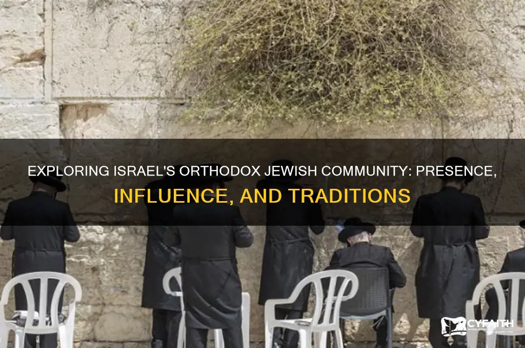 does israel have orthodox jews