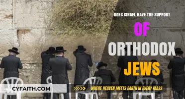 Orthodox Jewish Support for Israel: Unity, Divisions, and Complex Loyalties