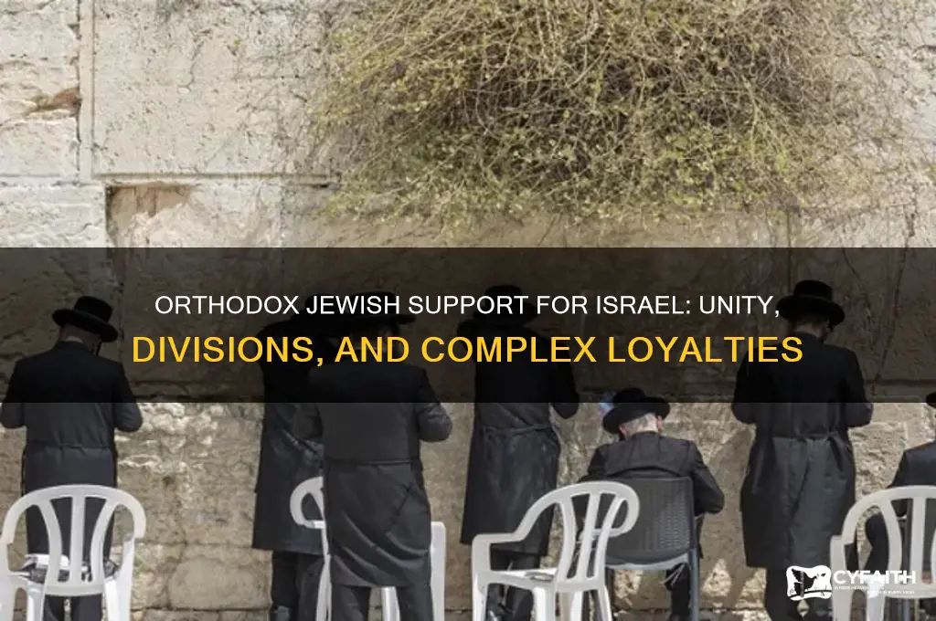 does israel have the support of orthodox jews