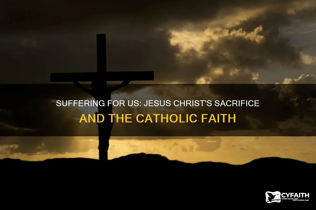 does jesus christ still suffer for us catholic