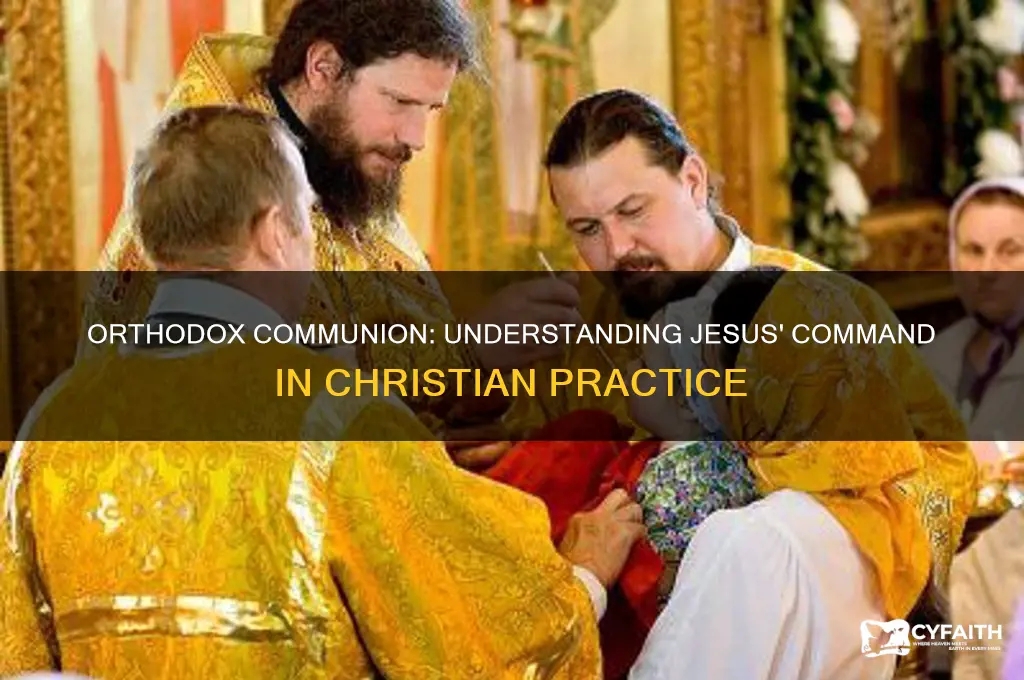 does jesus command us to take communion orthodox