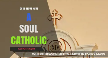 Jesus' Soul: Catholic Perspective Explored