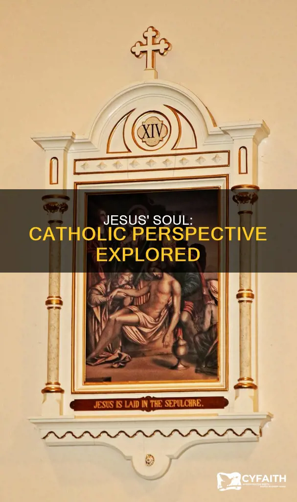 does jesus have a soul catholic
