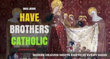 Does Jesus Have Brothers? Catholic Teachings Explained Simply